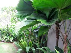 Braddell Heights Estate (D13), Detached #502634471